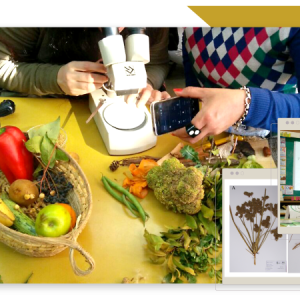 Primeras preguntas: Cómo enseñar ciencias naturales desde el asombro. Estrategias prácticas para el Nivel inicial y primario